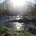 Img 7759